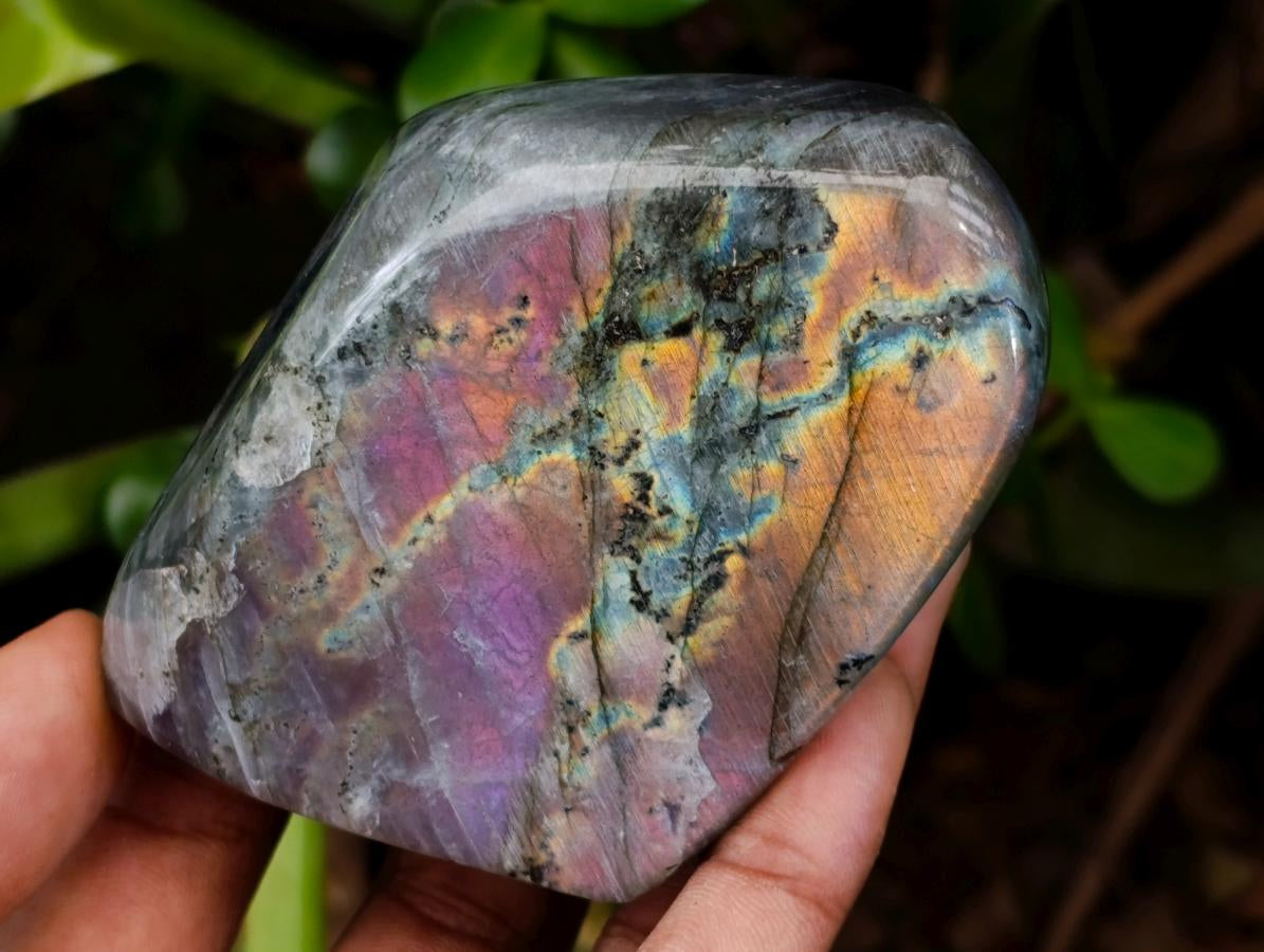 Polished Rare Purple Sunset Flash Labradorite Standing Free Forms x 12 From Tulear, Madagascar