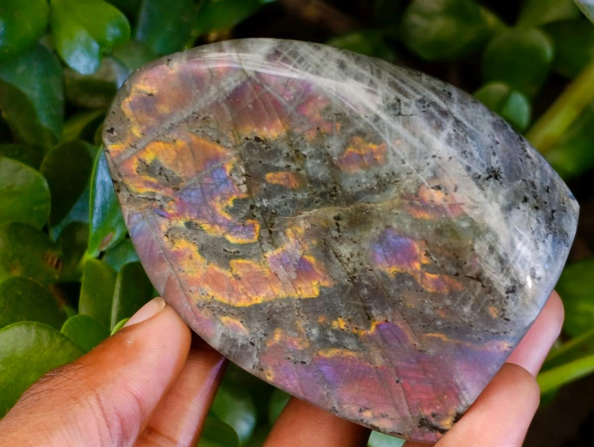 Polished Rare Purple Sunset Flash Labradorite Standing Free Forms x 12 From Tulear, Madagascar