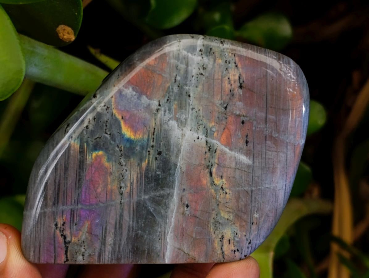 Polished Rare Purple Sunset Flash Labradorite Standing Free Forms x 12 From Tulear, Madagascar - Toprock Gemstones and Minerals 