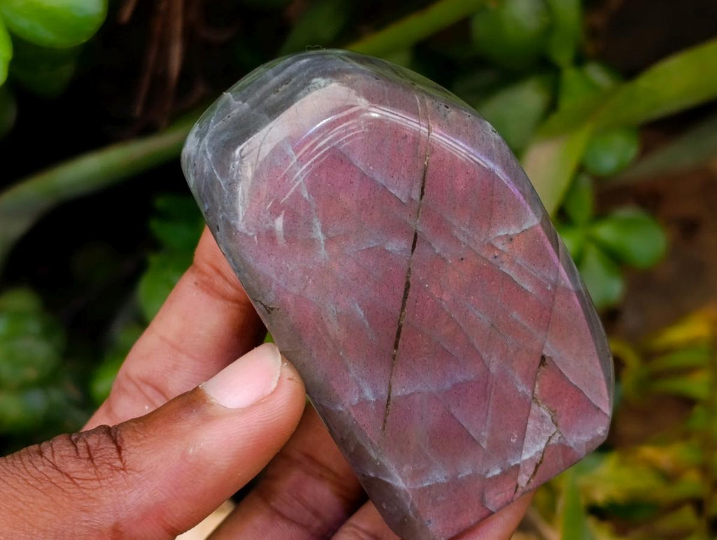 Polished Rare Purple Sunset Flash Labradorite Standing Free Forms x 12 From Tulear, Madagascar - Toprock Gemstones and Minerals 