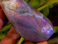 Polished Rare Purple Sunset Flash Labradorite Standing Free Forms x 12 From Tulear, Madagascar - Toprock Gemstones and Minerals 