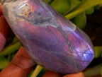 Polished Rare Purple Sunset Flash Labradorite Standing Free Forms x 12 From Tulear, Madagascar - Toprock Gemstones and Minerals 