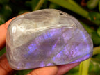 Polished Rare Purple Sunset Flash Labradorite Standing Free Forms x 12 From Tulear, Madagascar - Toprock Gemstones and Minerals 