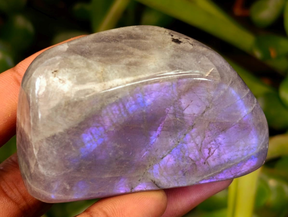 Polished Rare Purple Sunset Flash Labradorite Standing Free Forms x 12 From Tulear, Madagascar - Toprock Gemstones and Minerals 