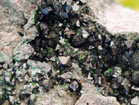Natural Libethenite Crystals On Dolomite Matrix Specimens x 2 From Shituru, Congo