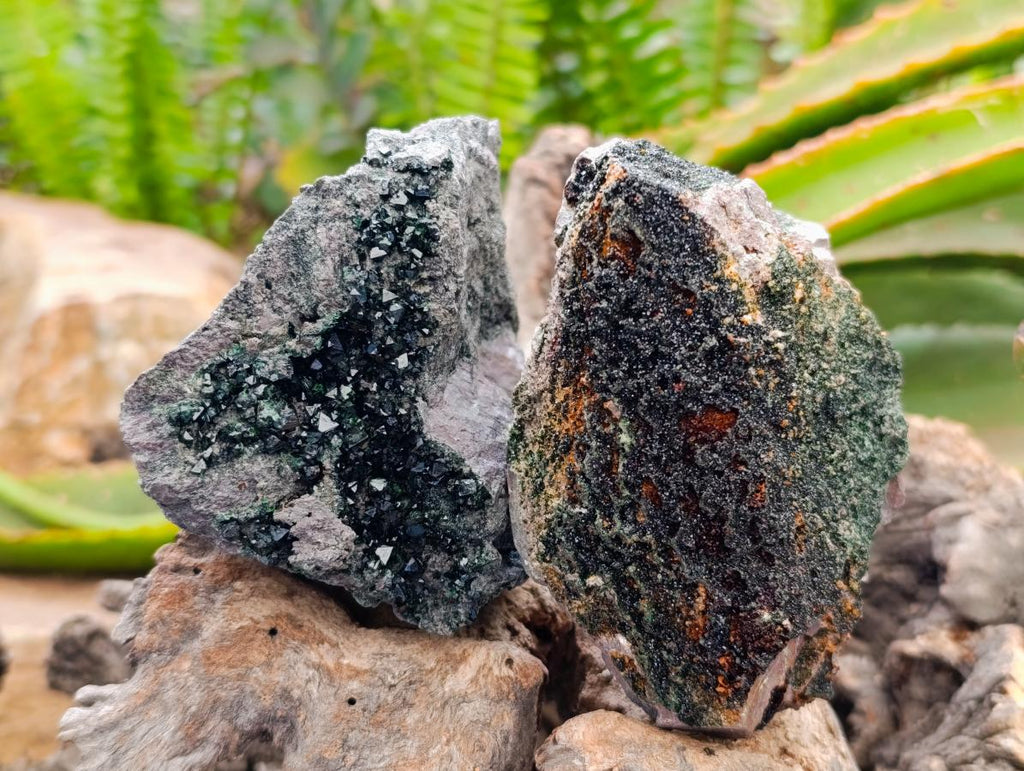 Natural Libethenite Crystals On Dolomite Matrix Specimens x 2 From Shituru, Congo