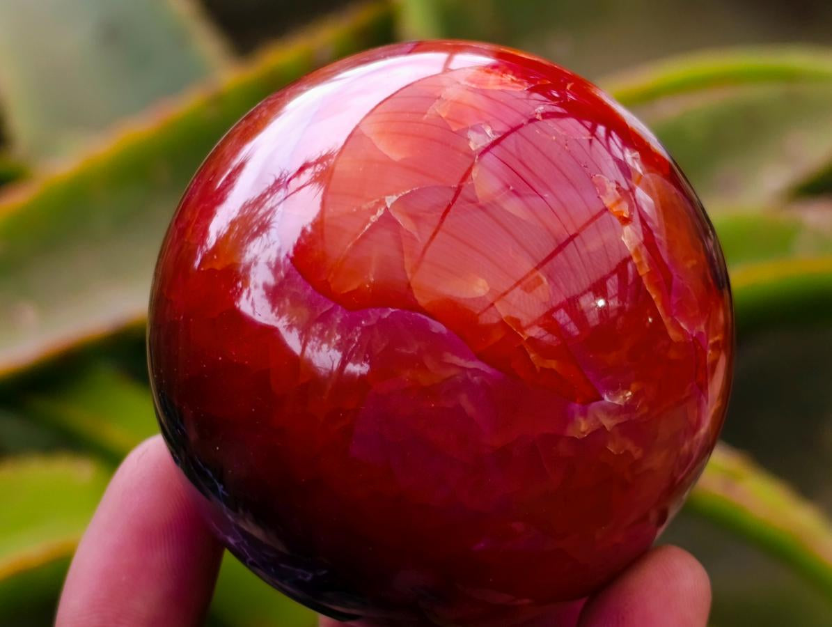 Polished Carnelian Agate Gemstone Spheres x 6 From Madagascar