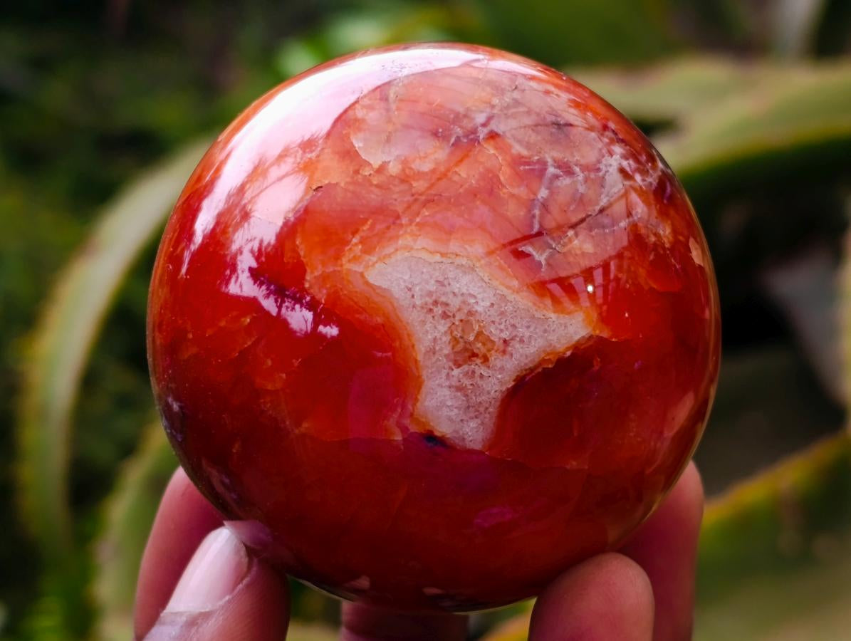 Polished Carnelian Agate Gemstone Spheres x 6 From Madagascar