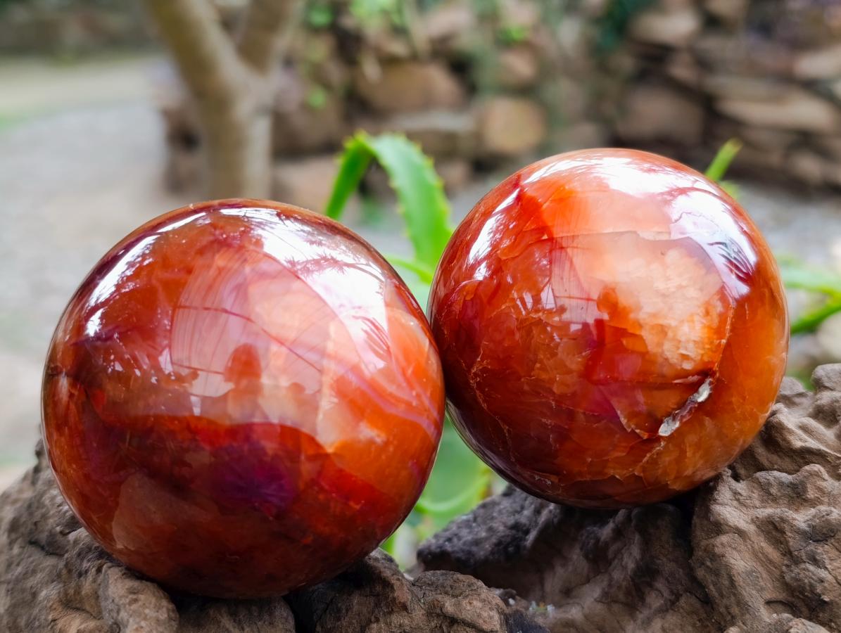 Polished Carnelian Agate Gemstone Spheres x 6 From Madagascar