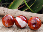 Polished Carnelian Agate Gemstone Spheres x 6 From Madagascar