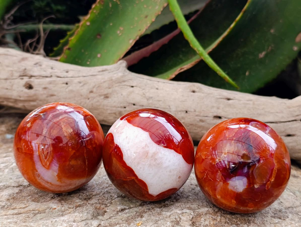 Polished Carnelian Agate Gemstone Spheres x 6 From Madagascar