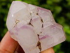 Polished Window Amethyst Crystals x 12 From Akansobe, Madagascar