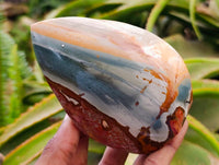 Polished Polychrome Jasper Flames x 6 From NW Coast, Madagascar
