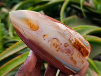 Polished Polychrome Jasper Flames x 6 From NW Coast, Madagascar