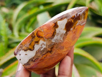 Polished Polychrome Jasper Flames x 6 From NW Coast, Madagascar