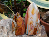 Polished Polychrome Jasper Flames x 6 From NW Coast, Madagascar
