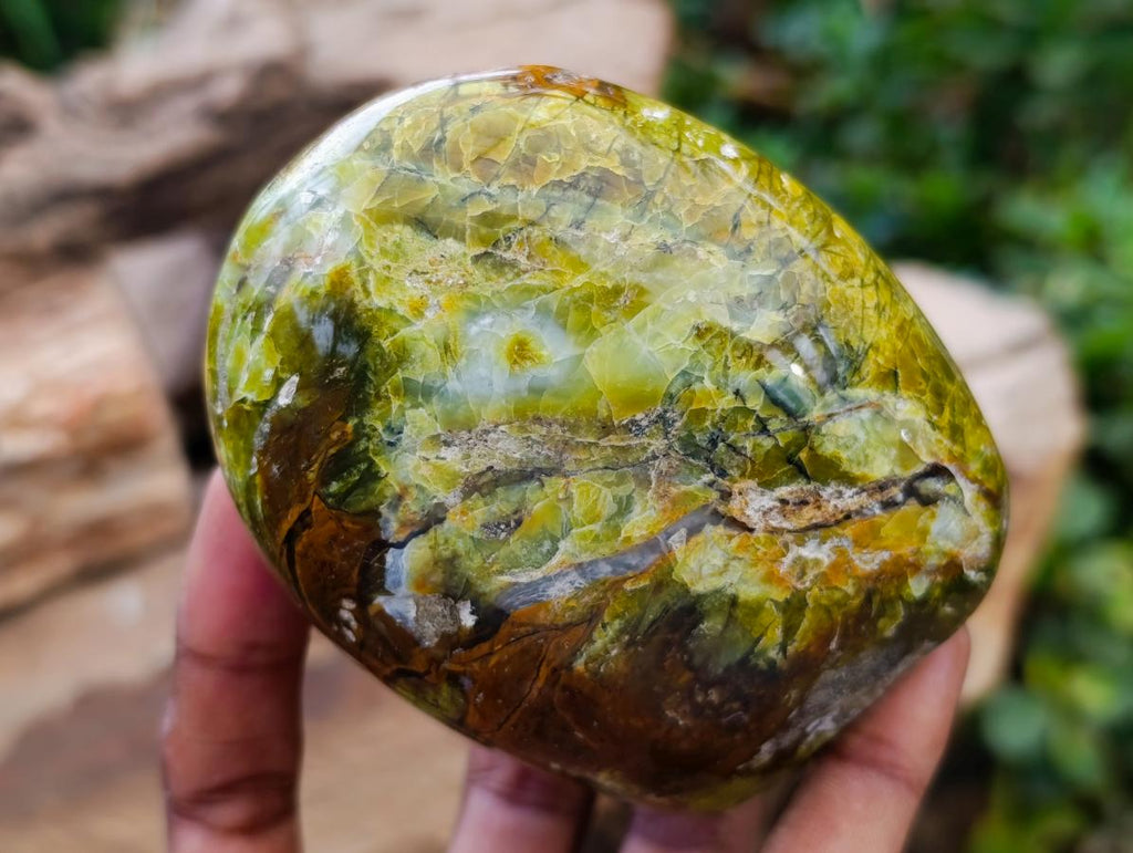 Polished Green Opal Standing Free Forms x 2 From Betroka, Madagascar