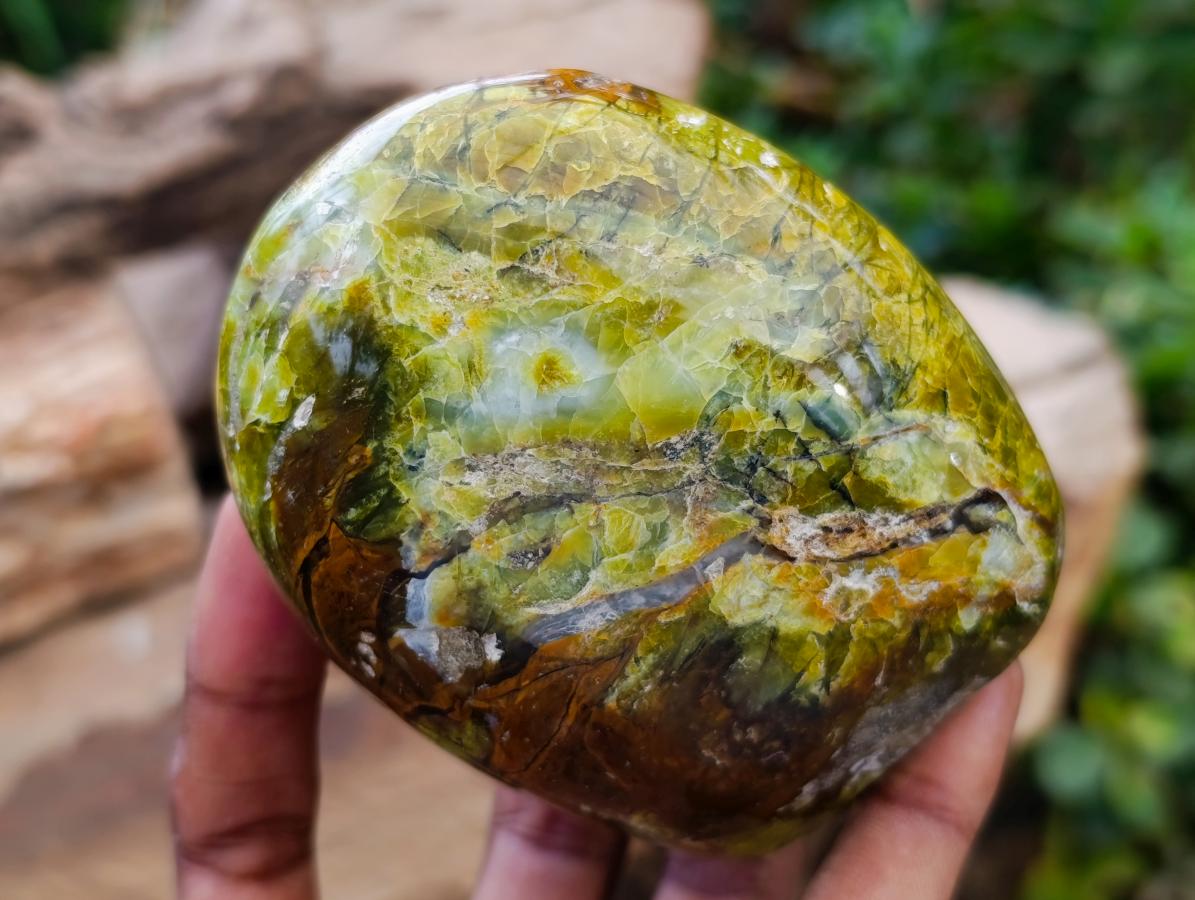 Polished Green Opal Standing Free Forms x 2 From Betroka, Madagascar