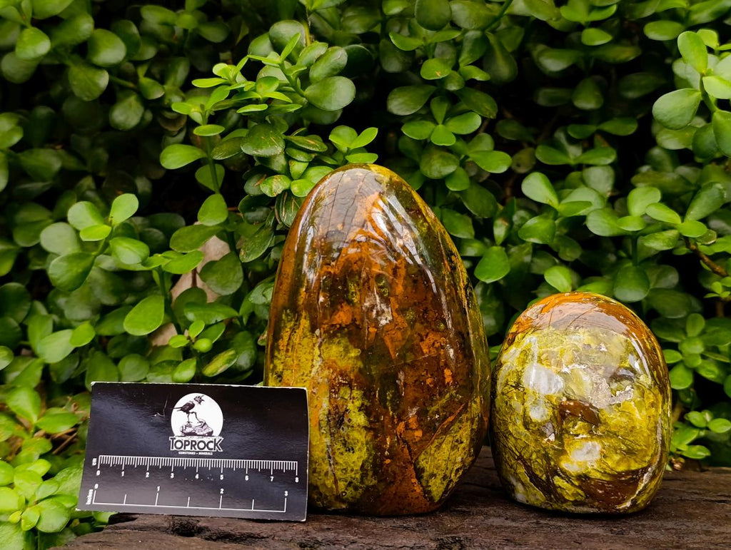 Polished Green Opal Standing Free Forms x 2 From Betroka, Madagascar