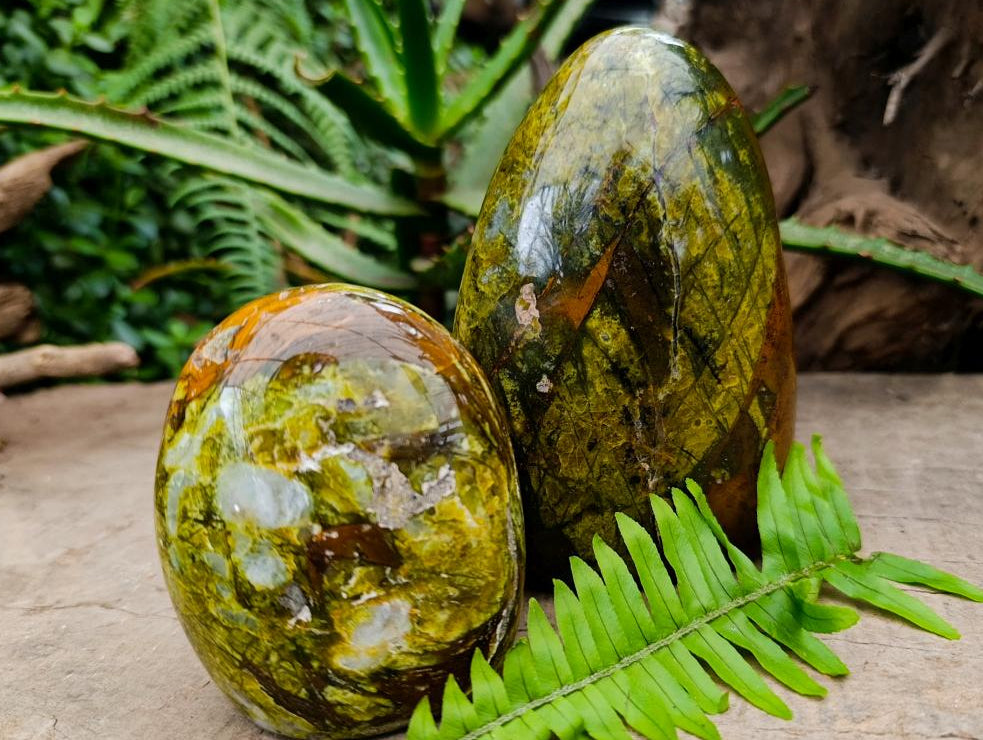 Polished Green Opal Standing Free Forms x 2 From Betroka, Madagascar