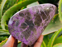 Polished Stichtite Standing Free Forms x 4 From Barberton, South Africa