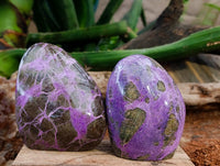 Polished Stichtite Standing Free Forms x 4 From Barberton, South Africa