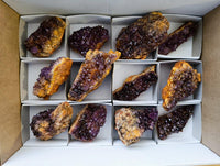 Natural Dark Purple Amethyst Quartz Crystal Plates x 12 From Boekenhouthoek, South Africa