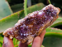 Natural Dark Purple Amethyst Quartz Crystal Plates x 12 From Boekenhouthoek, South Africa