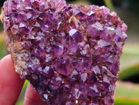 Natural Dark Purple Amethyst Quartz Crystal Plates x 12 From Boekenhouthoek, South Africa