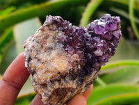 Natural Dark Purple Amethyst Quartz Crystal Plates x 12 From Boekenhouthoek, South Africa