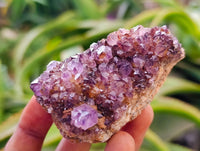 Natural Dark Purple Amethyst Quartz Crystal Plates x 12 From Boekenhouthoek, South Africa