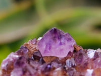 Natural Dark Purple Amethyst Quartz Crystal Plates x 12 From Boekenhouthoek, South Africa