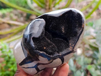 Polished Septerye Sauvage "Dragons" Standing Geodes x 2 From Mahajanga, Madagascar