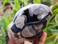 Polished Septerye Sauvage "Dragons" Standing Geodes x 2 From Mahajanga, Madagascar