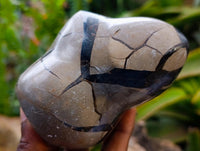 Polished Septerye Sauvage "Dragons" Standing Geodes x 2 From Mahajanga, Madagascar