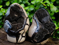 Polished Septerye Sauvage "Dragons" Standing Geodes x 2 From Mahajanga, Madagascar