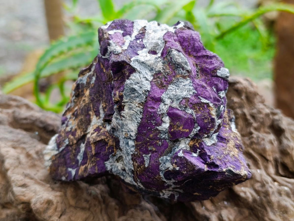 Natural Metallic Cobbed Purpurite Specimens x 2 From Erongo, Namibia