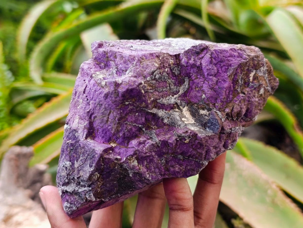 Natural Metallic Cobbed Purpurite Specimens x 2 From Erongo, Namibia