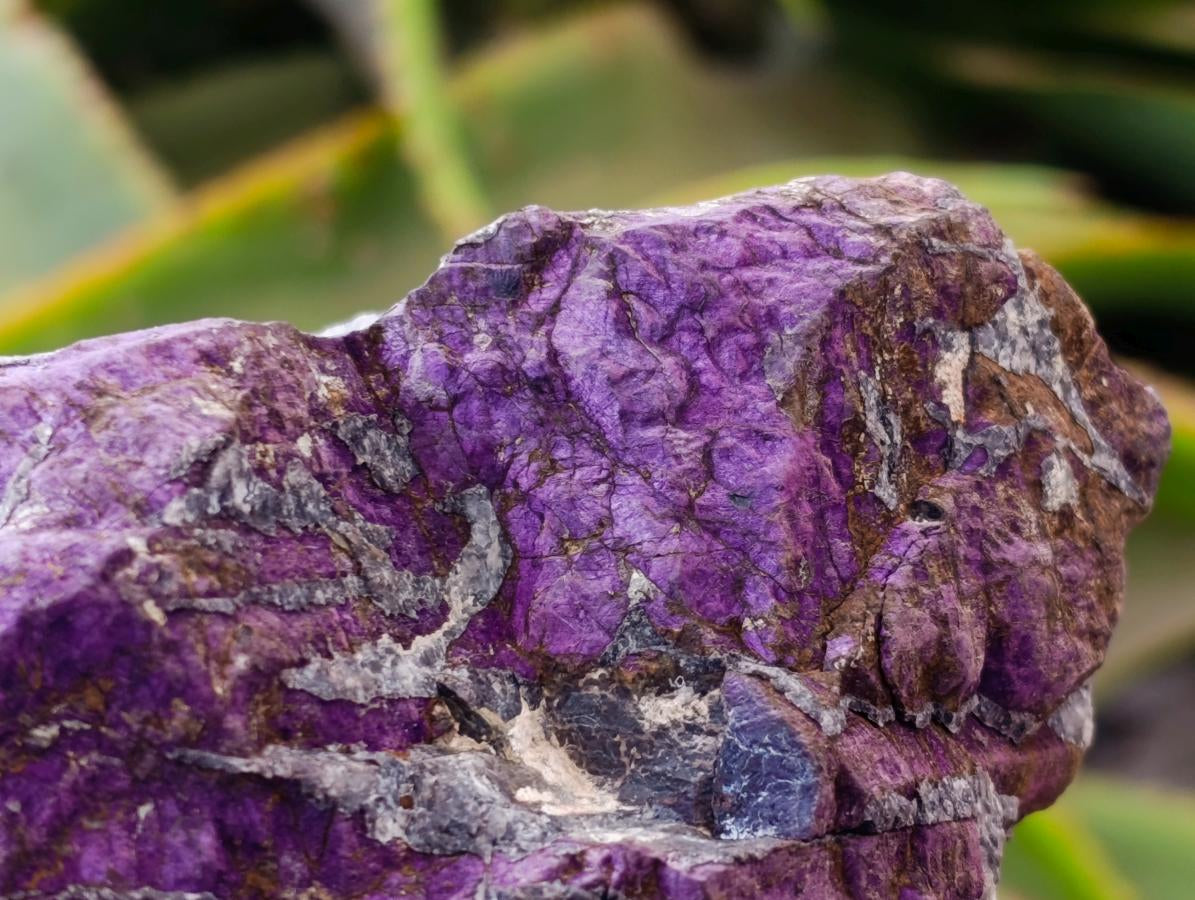 Natural Metallic Cobbed Purpurite Specimens x 2 From Erongo, Namibia