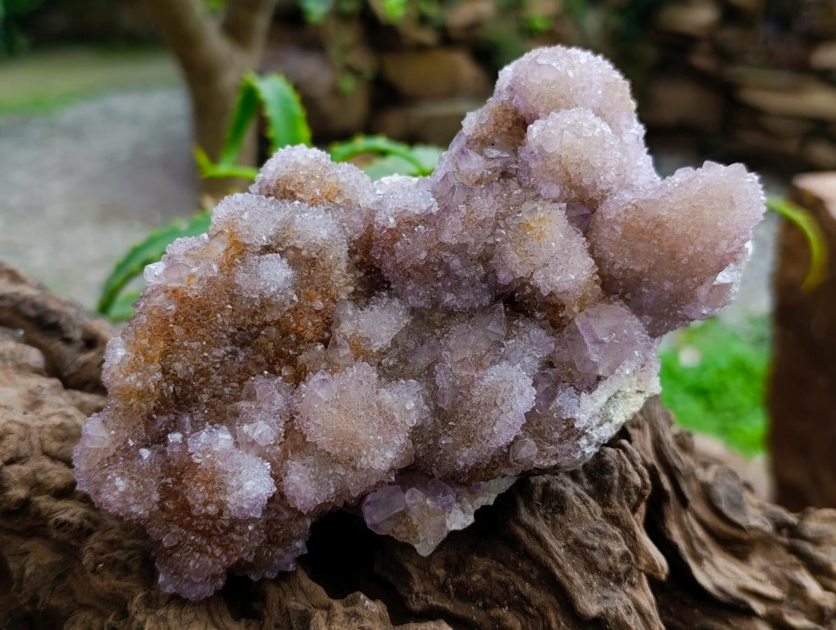 Natural Amethyst and Ametrine Spirit Clusters x 2 From Boekenhouthoek, South Africa
