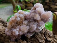 Natural Amethyst and Ametrine Spirit Clusters x 2 From Boekenhouthoek, South Africa