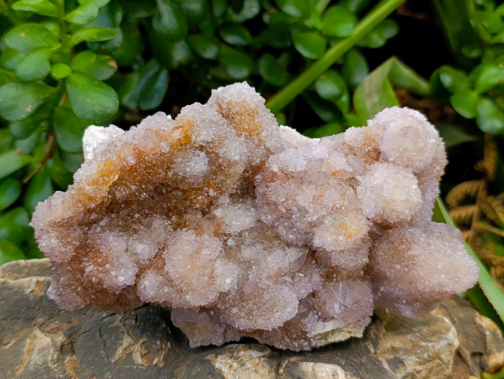 Natural Amethyst and Ametrine Spirit Clusters x 2 From Boekenhouthoek, South Africa