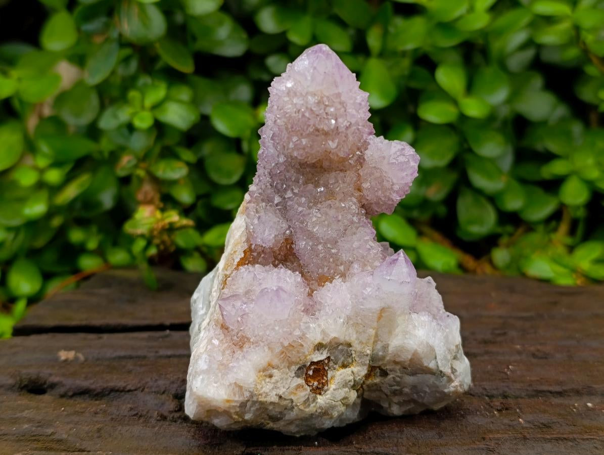 Natural Amethyst and Ametrine Spirit Clusters x 2 From Boekenhouthoek, South Africa