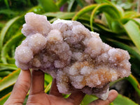 Natural Amethyst and Ametrine Spirit Clusters x 2 From Boekenhouthoek, South Africa