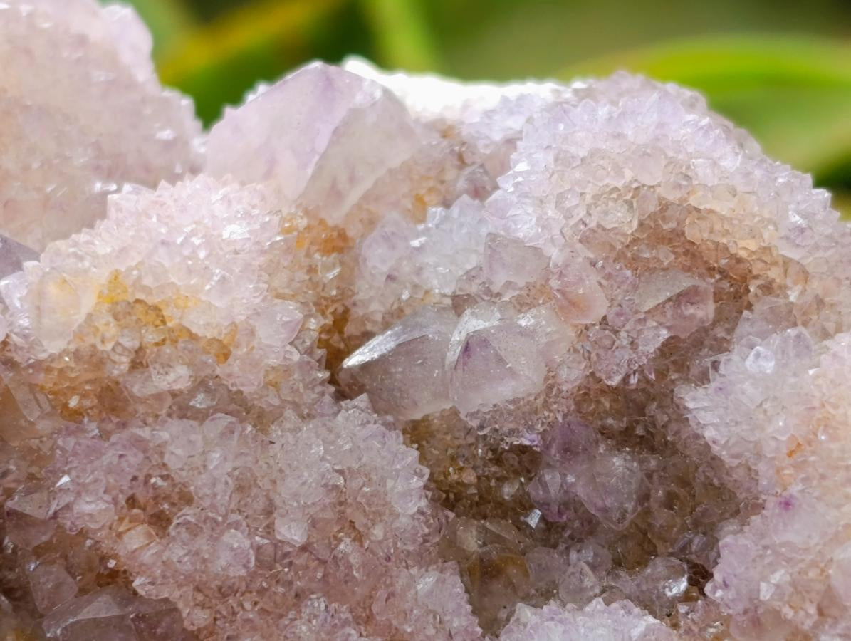 Natural Amethyst and Ametrine Spirit Clusters x 2 From Boekenhouthoek, South Africa