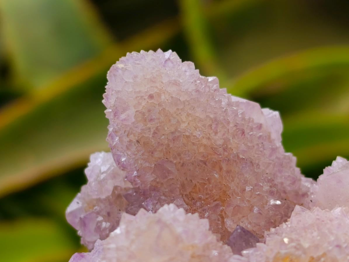 Natural Amethyst and Ametrine Spirit Clusters x 2 From Boekenhouthoek, South Africa