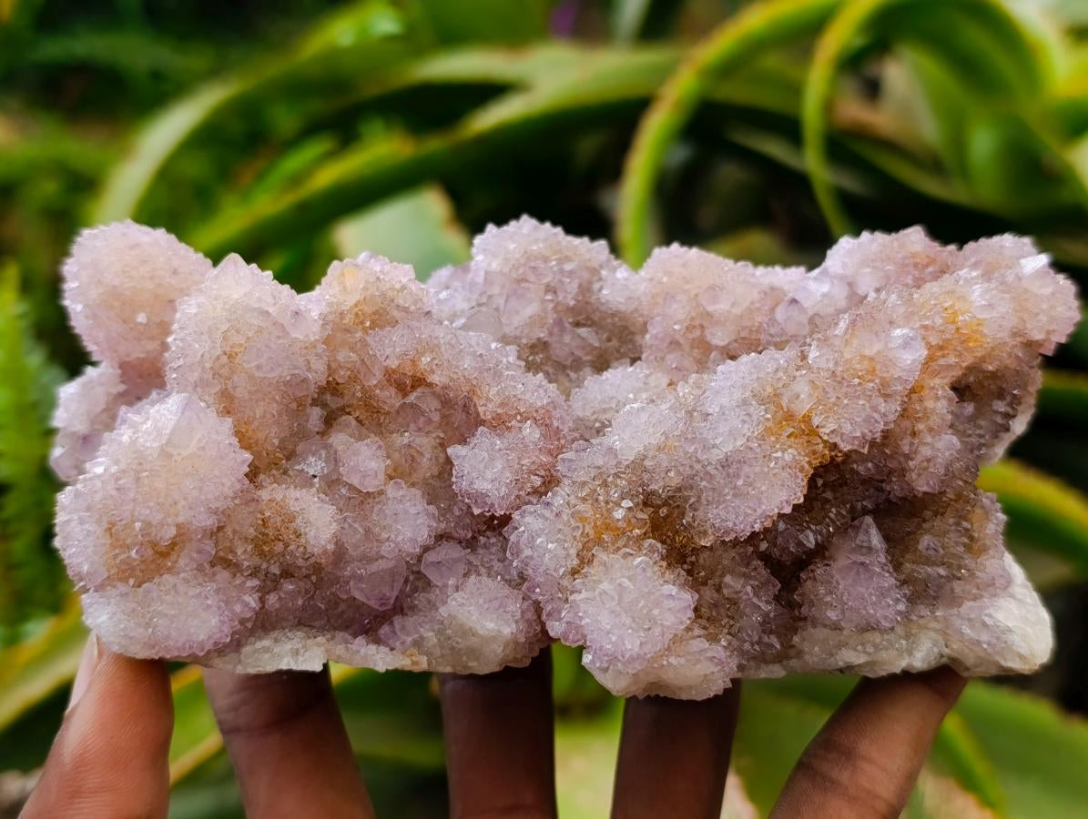 Natural Amethyst and Ametrine Spirit Clusters x 2 From Boekenhouthoek, South Africa