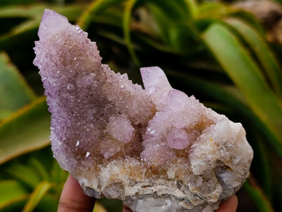 Natural Amethyst and Ametrine Spirit Clusters x 2 From Boekenhouthoek, South Africa