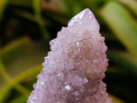 Natural Amethyst and Ametrine Spirit Clusters x 2 From Boekenhouthoek, South Africa