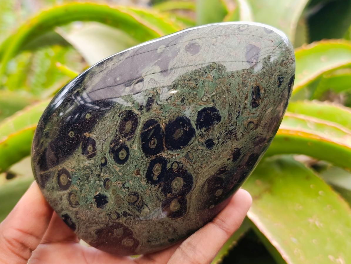Polished Stromatolite Standing Free Forms x 3 From Katsepy, Madagascar